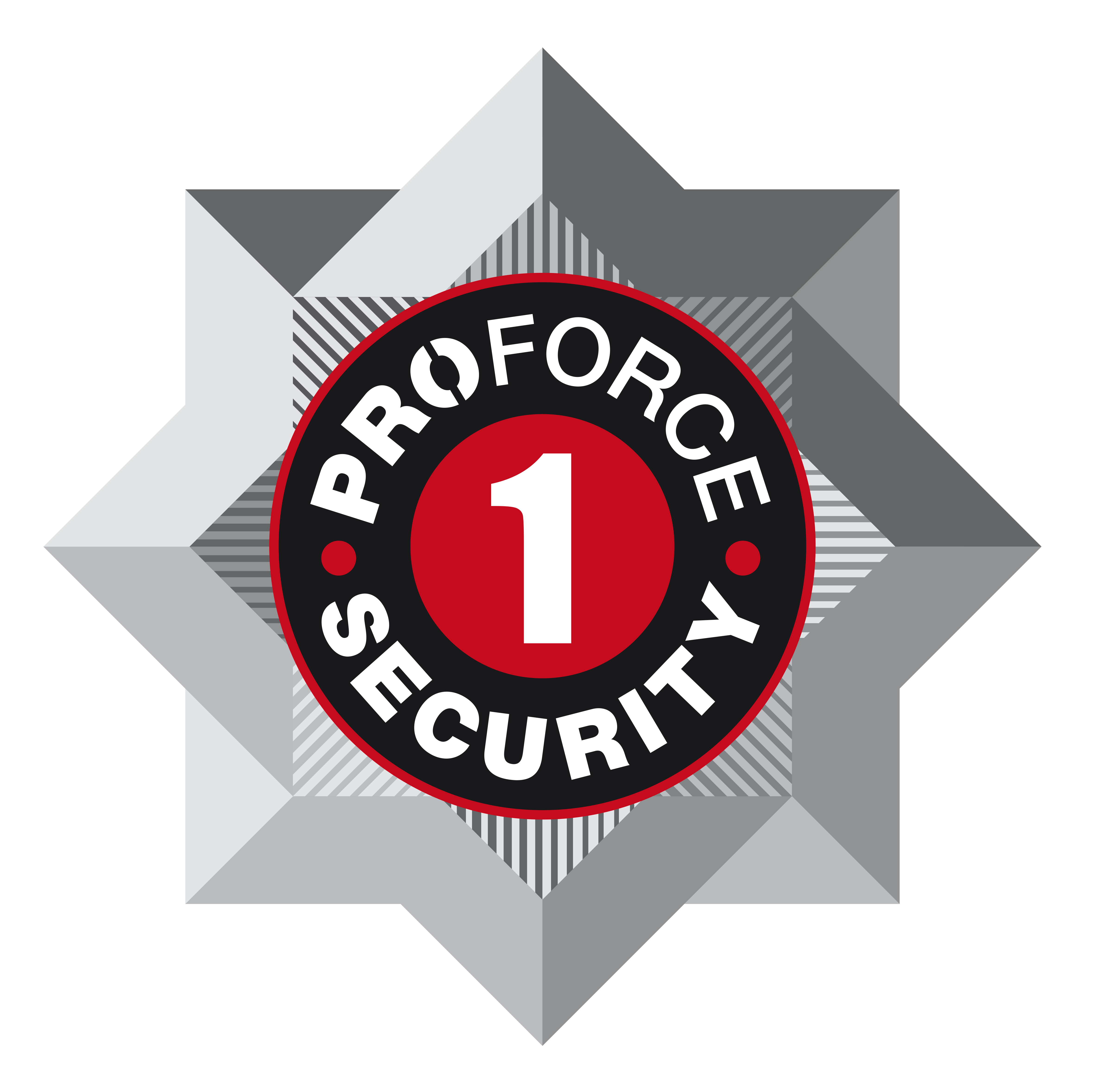 Proforce 1 Security